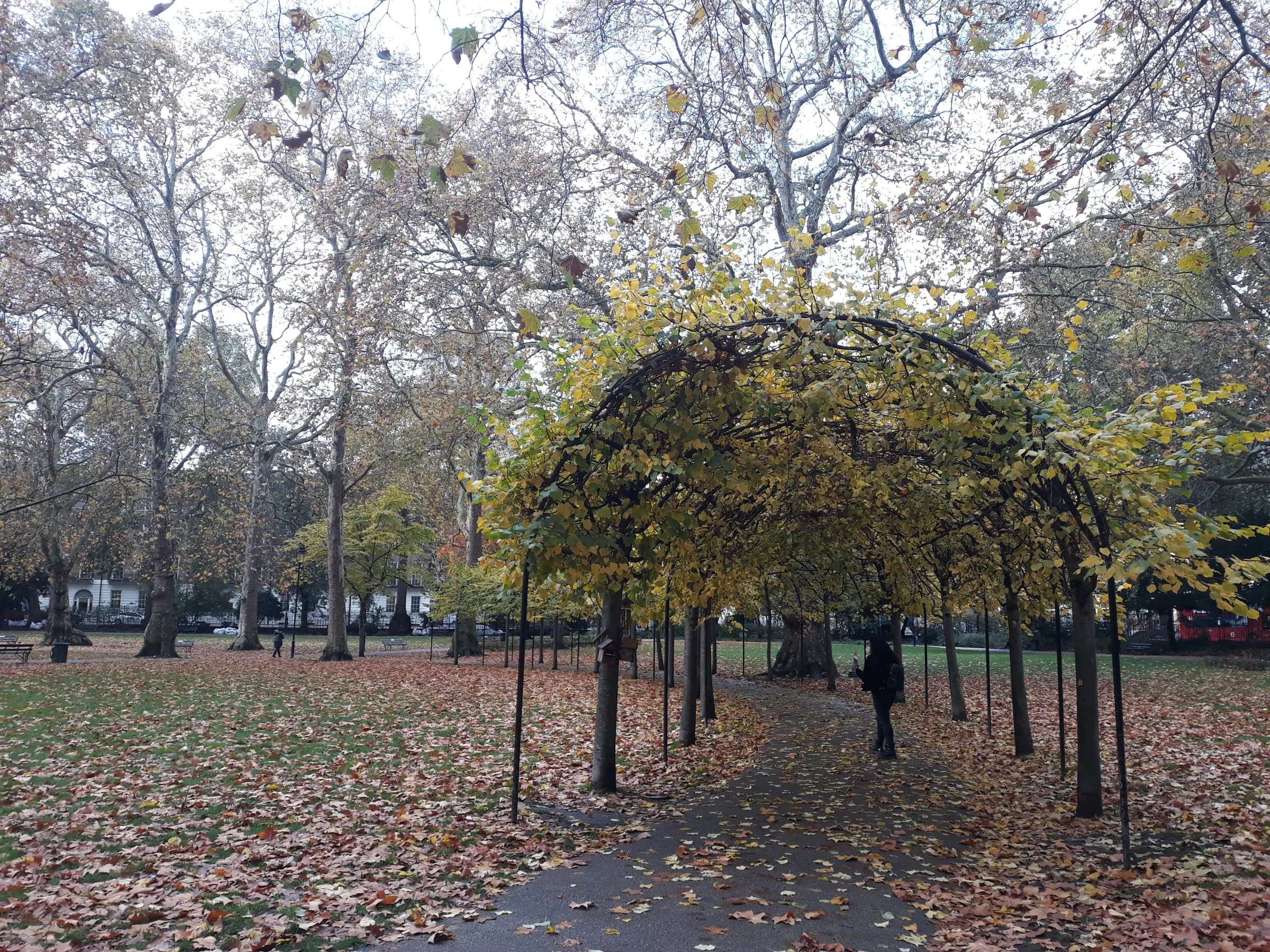 Pérgola y árboles en otoño en Russell Square, en el barrio de Bloomsbury