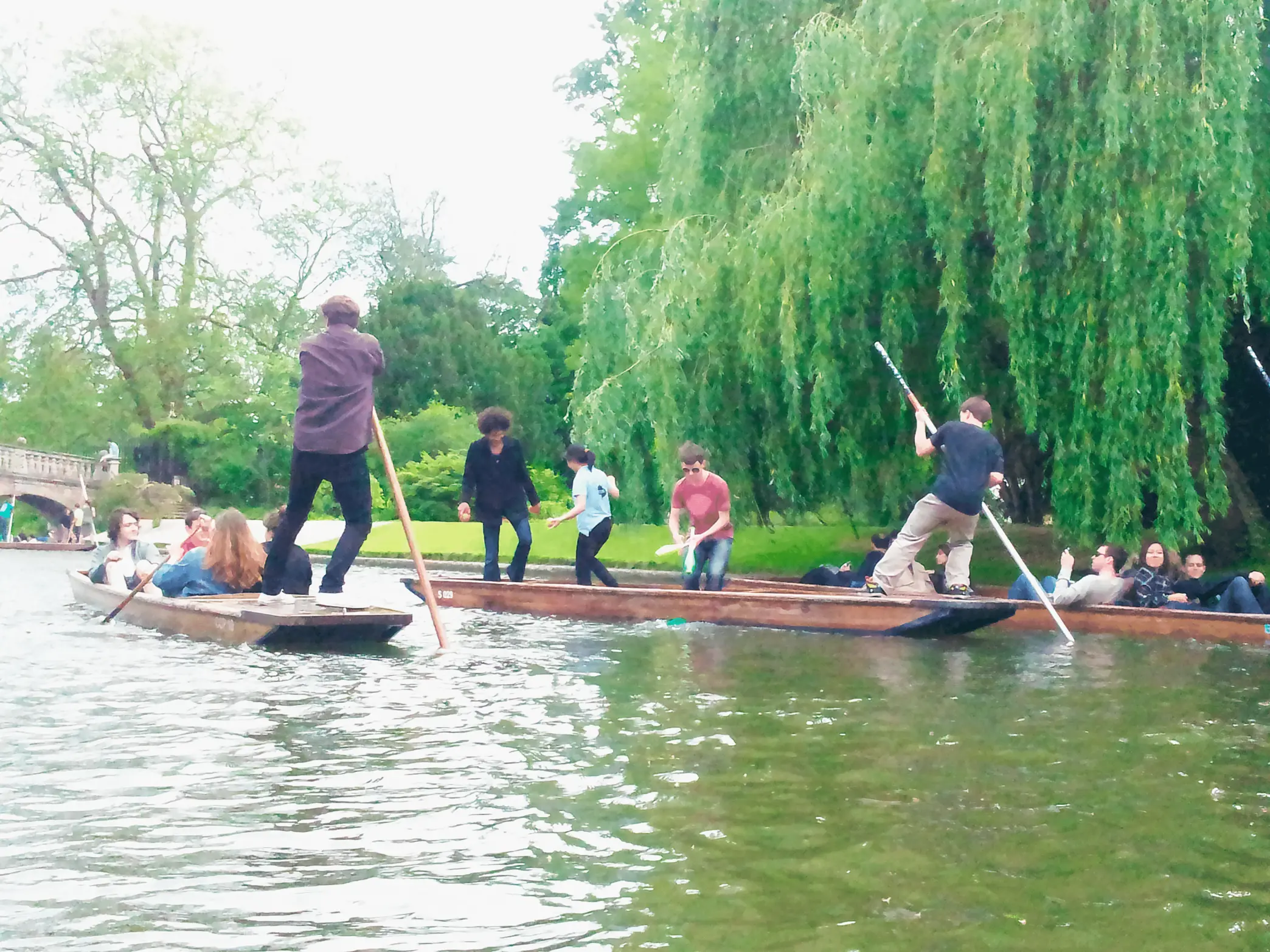 Brighton Royal Theater